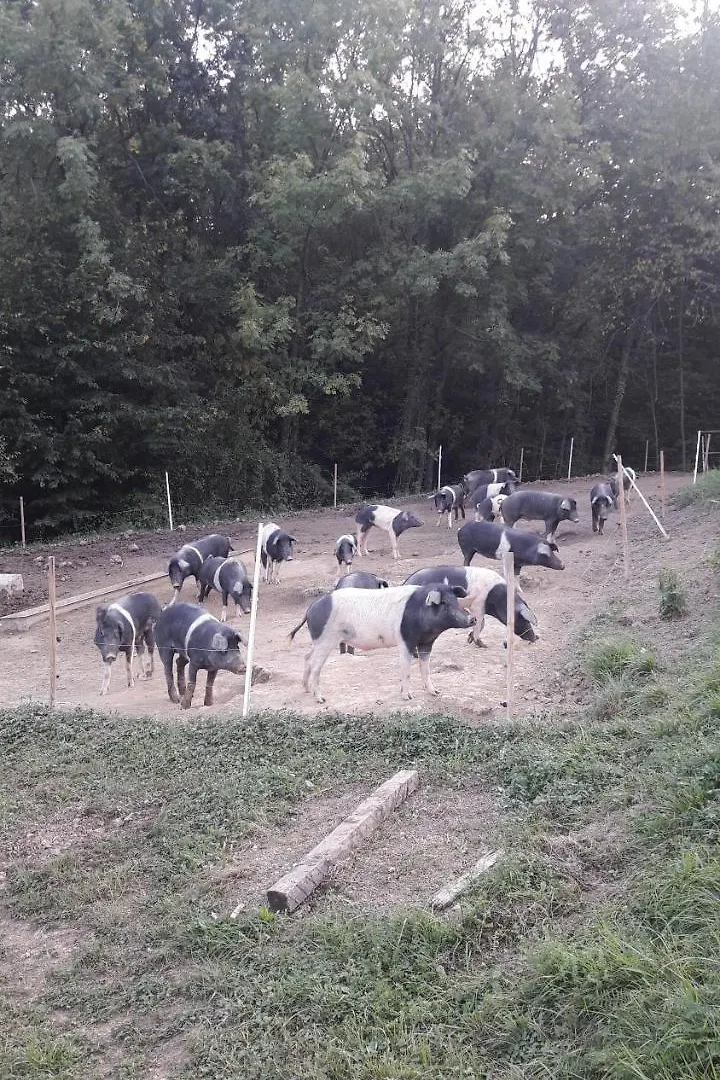 Alloggio per agriturismo Agriturismo La Soglia Del Parco Ranica